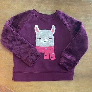 Toddlee Girls Sweatshirt